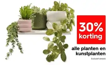 HEMA Alle planten en kunstplanten aanbieding