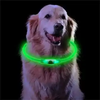 Amazon Sarsumir led hondenhalsband voor honden, usb, oplaadbaar, met 3 lichtmodi, waterdicht, verstelbaar, led-halsband voor honden, aanbieding