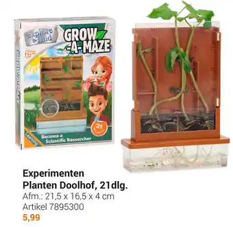 Lobbes Experimenten Planten Doolhof, 21dlg 21,5 x 16,5 x 4cm aanbieding