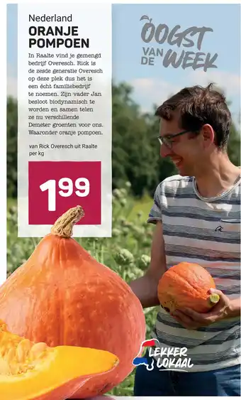 Ekoplaza Oranje pompoen aanbieding