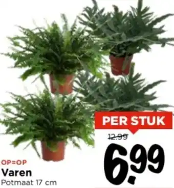 Vomar Voordeelmarkt Varen aanbieding