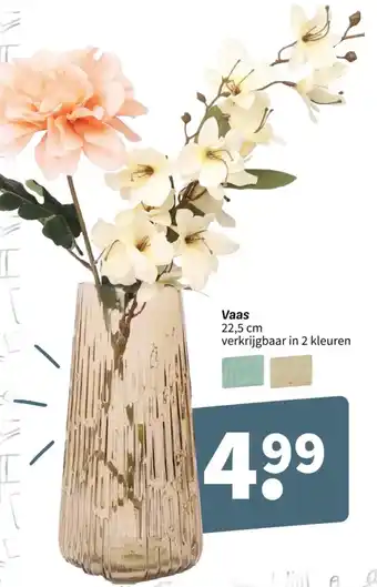 Wibra Vaas 22,5 cm aanbieding