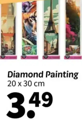 Wibra Diamond painting 20 x 30 cm aanbieding