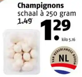 Poiesz Champignons schaal à 250 gram aanbieding