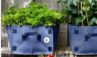 Intratuin Makkelijke moestuin planty growbag! aanbieding