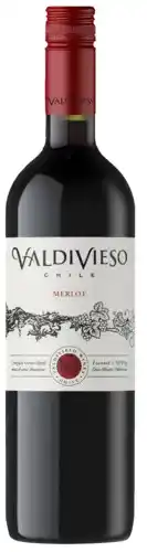 Gall & Gall Valdivieso merlot 75cl wijn aanbieding