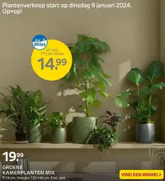 Praxis Kamerplanten mix aanbieding