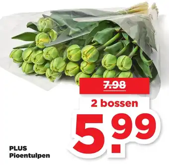 PLUS PLUS Pioentulpen 2 bossen aanbieding