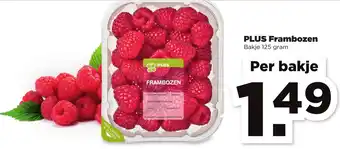 PLUS PLUS Frambozen 125g aanbieding