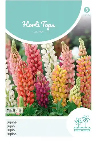 Welkoop Hortitops lupine lage minarette -bloemzaden - lupine aanbieding