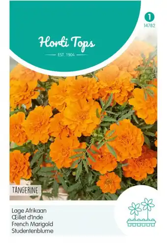 Welkoop Hortitops lage afrikaan tangerine - bloemzaden - afrikaan (tagetes) aanbieding