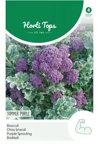 Welkoop Hortitops broccoli brassica oleracea summer purple - broccoli - 0,25 gram aanbieding