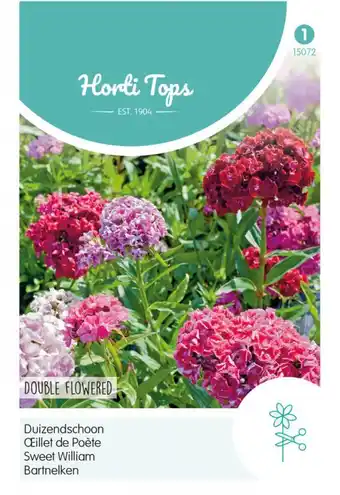 Welkoop Hortitops duizendschoon dubbelbloemig - bloemzaden - duizendschoon (dianthus) aanbieding