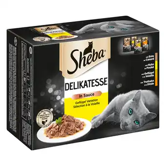 Zooplus 36 + 12 gratis! sheba natvoer 48 x 85 g - delicatesse in saus met gevogelte aanbieding