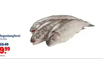 Makro Regenboogforel aanbieding