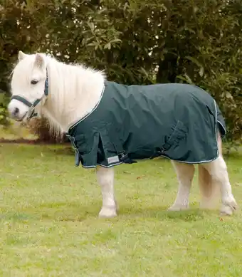 Welkoop Waldhausen shetlander - regendeken - paardendeken - groen aanbieding