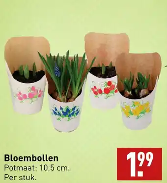 ALDI Bloembollen aanbieding