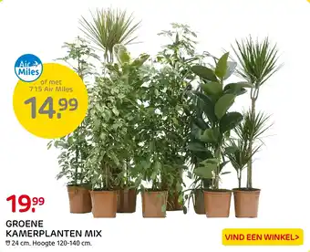 Praxis GROENE KAMERPLANTEN MIX aanbieding