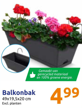 Action Balkonbak aanbieding