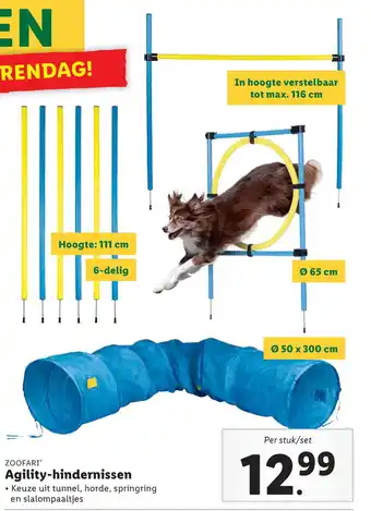 Lidl Agility-hindernissen aanbieding