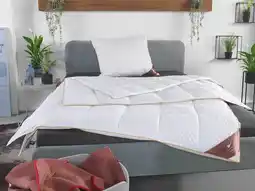 Lidl HÄUSSLING Royal 4 seizoenen donzen cassette dekbed licht tot extra warm aanbieding