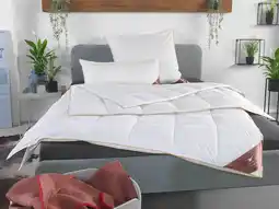 Lidl HÄUSSLING Royal 4 seizoenen donzen cassette dekbed licht tot extra warm aanbieding