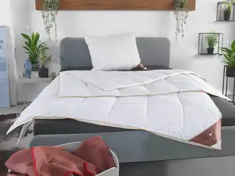 Lidl HÄUSSLING Royal 4 seizoenen donzen cassette dekbed licht tot extra warm aanbieding