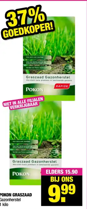 Big Bazar Pokon graszaad 1 kilo aanbieding