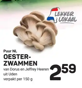 Ekoplaza OESTERZWAMMEN aanbieding
