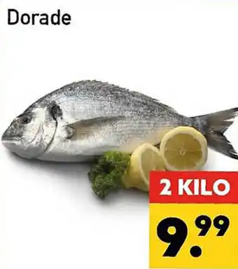 Tanger Markt Dorade 2kilo aanbieding