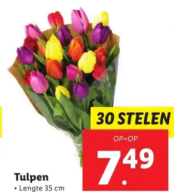 Lidl Tulpen 35 cm aanbieding