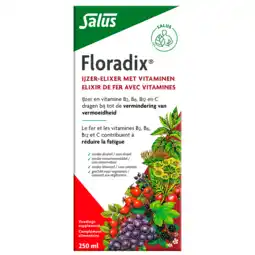 Holland & Barrett Floradix IJzer-Elixer Met Vitamines (250ml) aanbieding