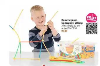 Lobbes Bouwrietjes In Opbergbox, 700dlg. aanbieding
