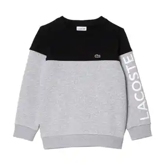 Spartoo Sweater Lacoste aanbieding