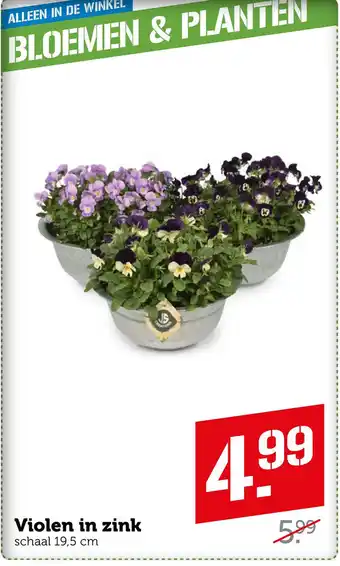 Coop Violen in zink aanbieding