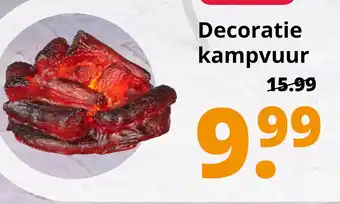 GroenRijk Decoratie kampvuur aanbieding