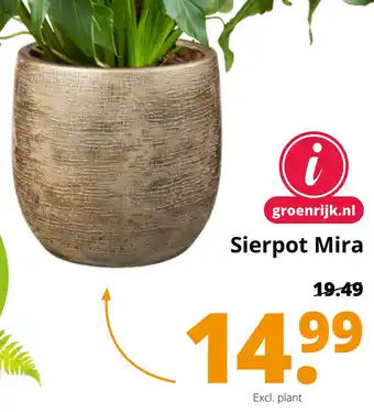 GroenRijk Sierpot Mira aanbieding