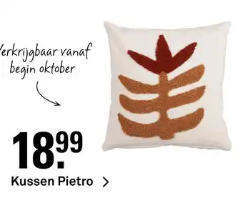 Karwei Kussen Pietro aanbieding