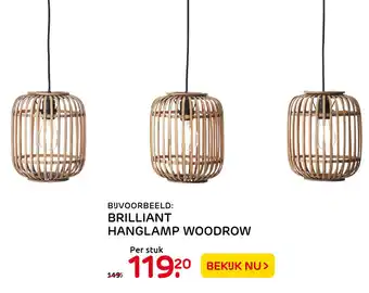 Praxis Brilliant Hanglamp Woodrow aanbieding