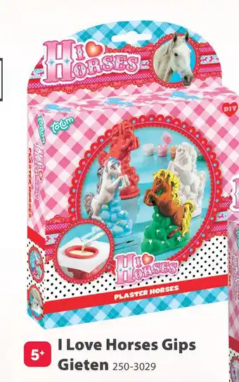 Top1Toys Totum DIY Gips Gieten I Love Horses aanbieding