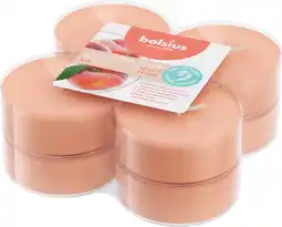 Intratuin Bolsius geurtheelicht True Scents fruitig oranje 8 uur D 6 H 2 cm 8 stuks aanbieding