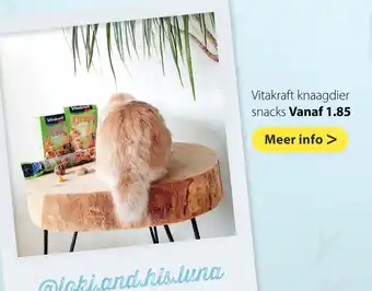 Pets Place Vitakraft knaagdier snacks aanbieding