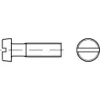 Conrad TOOLCRAFT TO-5357373 Cilinderschroeven M3 45 mm Sleuf DIN 84 RVS A2 500 stuk(s) aanbieding