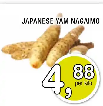 Amazing Oriëntal JAPANESE YAM NAGAIMO aanbieding