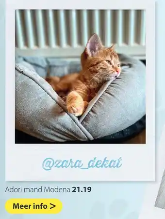 Pets Place Adori mand Modena aanbieding