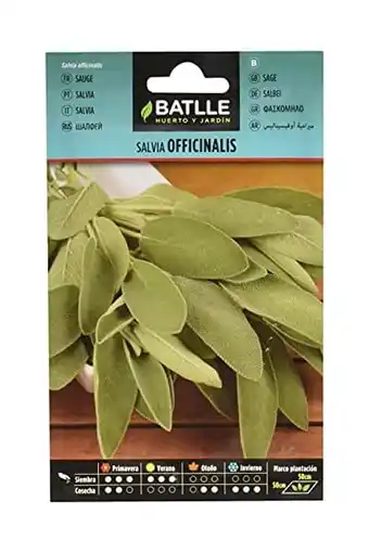 Amazon Batlle kruidenzaad, salie officinalis (zaden - 25-35cm) aanbieding