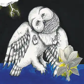 Bol.com Songs: Ohia - Magnolia Electric Co (2 LP) (Deluxe Edition) aanbieding