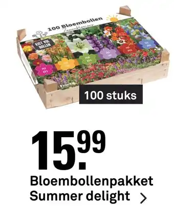 Karwei Bloembollenpakket summer delight aanbieding