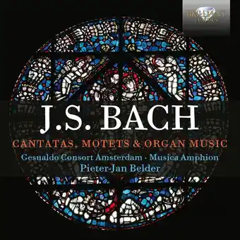 Bol.com Gesualdo Consort Amsterdam & Musica Amphion & Pieter-J - J.S. Bach: Cantatas, Motets & Organ Music (6 CD) aanbieding