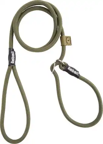 Bol.com Rebel Petz - Honden Trainingslijn met Halsband - Taupe, Zwart, Groen & Oranje - Maat Small of Large - Kleur: Groen, Maat: Sma aanbieding